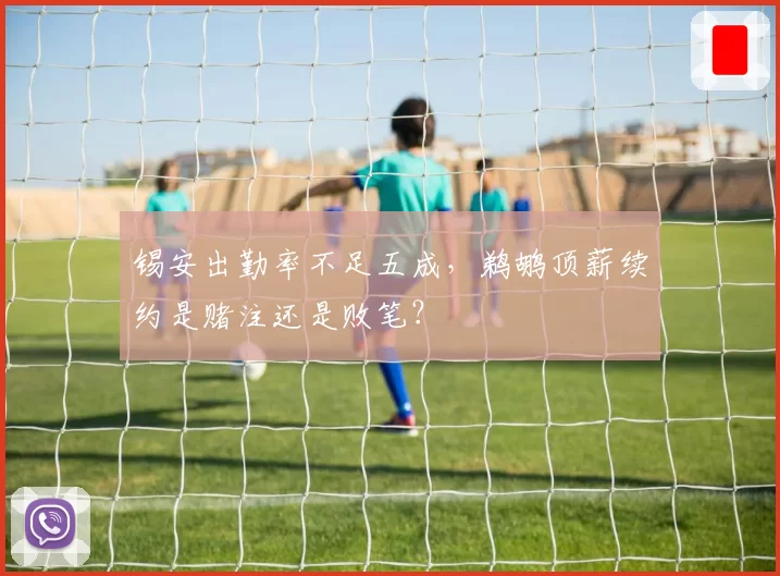 锡安出勤率不足五成，鹈鹕顶薪续约是赌注还是败笔？
