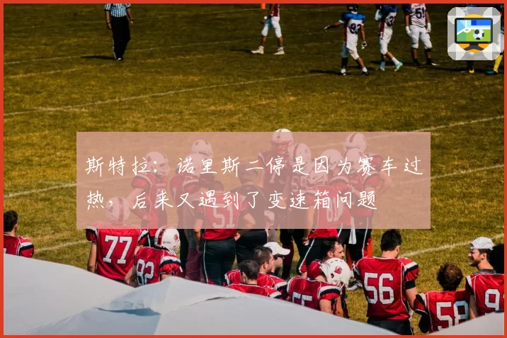 斯特拉：诺里斯二停是因为赛车过热，后来又遇到了变速箱问题