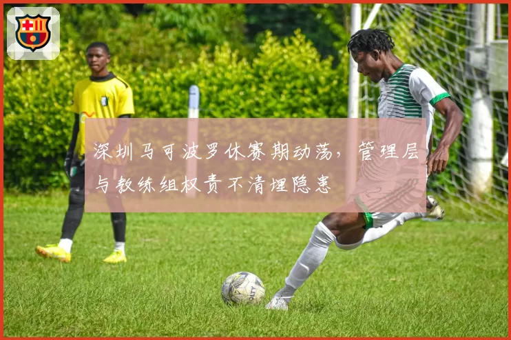 深圳马可波罗休赛期动荡,管理层与教练组权责不清埋隐患