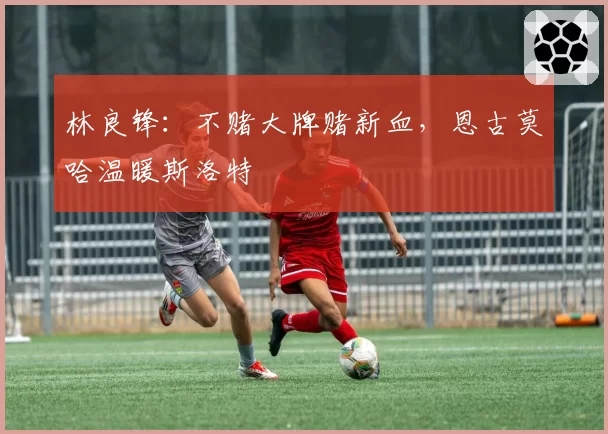 林良锋：不赌大牌赌新血，恩古莫哈温暖斯洛特